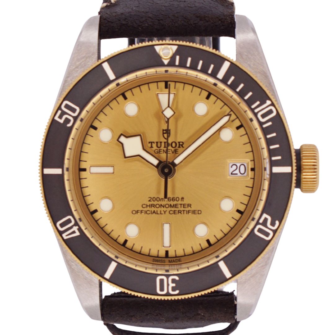 Tudor Black Bay 79733N