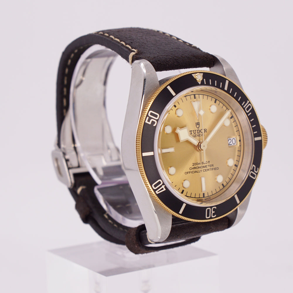 Tudor Black Bay 79733N