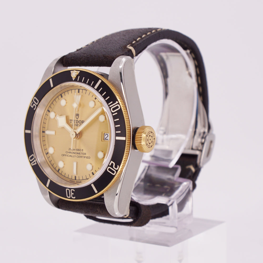 Tudor Black Bay 79733N